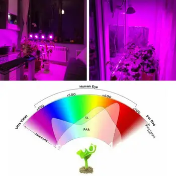 Full spectrum Plante Vokser Led-Pærer Lampe belysning til Frø hydro Blomster Drivhus Veg Indendørs have E27 phyto growbox