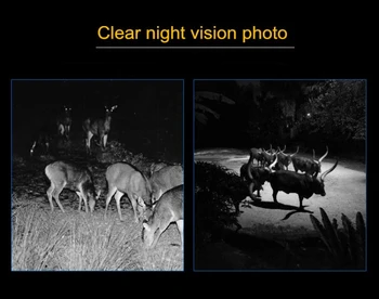 20 MP 1080P Jagt Trail Kamera Dyreliv Kamera Night Vision, Motion Aktiveret Udendørs Trail Kamera Dyreliv Scouting-Kameraer