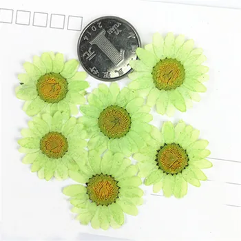 2019 nyeste Farverige chrysanthemum Tørret blomst bogmærke materiale, gratis forsendelse, 1 parti/120pcs