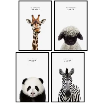 1/Sæt Dyr Wall Stickers Får Panda Zebra Giraf Med Ramme Plakater DIY Dyr vægoverføringsbilleder for Kids Stue Indretning